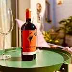 Charming Rustic Wine Cellar House In With Fireplace Reguengo Grande