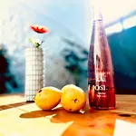 Charming Rustic Wine Cellar House In With Fireplace *