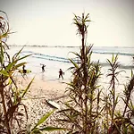 Charming Rustic Wine Cellar House In With Fireplace Σπίτι διακοπών Reguengo Grande