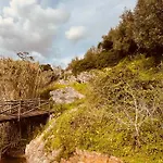 Charming Rustic Wine Cellar House In With Fireplace Σπίτι διακοπών Reguengo Grande