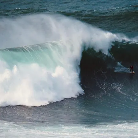 Charming Rustic Wine Cellar House In With Fireplace