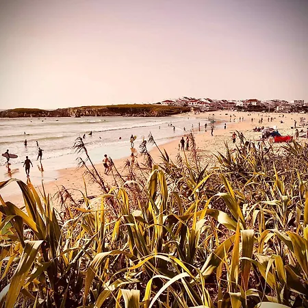 Charming Rustic Wine Cellar House In With Fireplace * Reguengo Grande