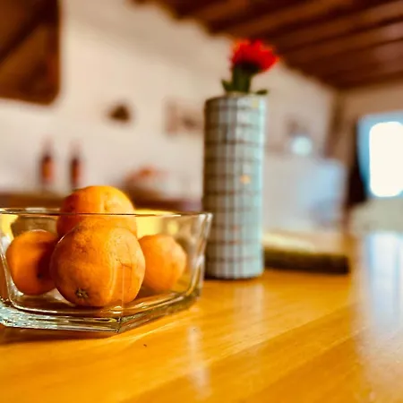 Charming Rustic Wine Cellar House In With Fireplace Feriehus *