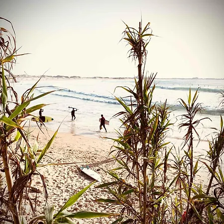 Charming Rustic Wine Cellar House In With Fireplace Feriehus Reguengo Grande