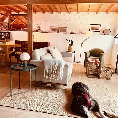 Charming Rustic Wine Cellar House In With Fireplace