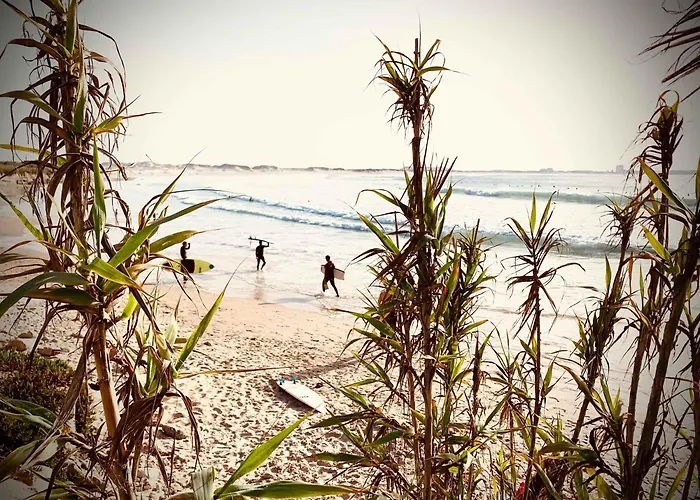 Charming Rustic Wine Cellar House In With Fireplace Tatil Evi Reguengo Grande