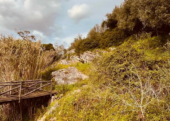 Charming Rustic Wine Cellar House In With Fireplace Tatil Evi Reguengo Grande